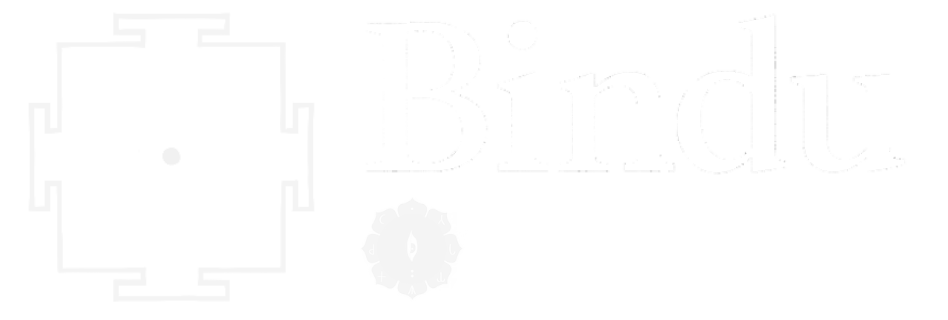 Bindu Logo